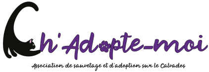 Logo Ch'adopte moi
