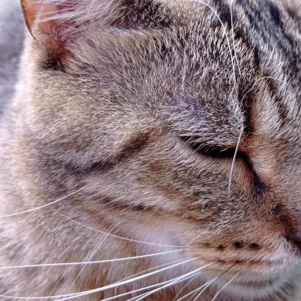 373072497_629846132628543_2417878907176491395_n